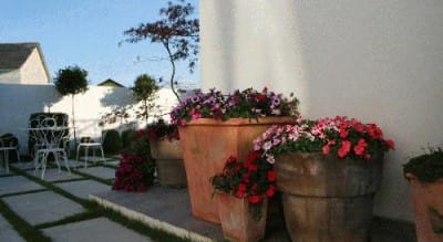 Casa de las camelias