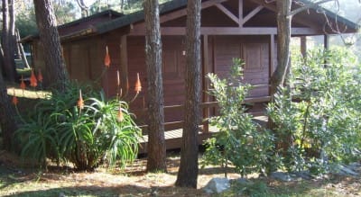 camping playa touran