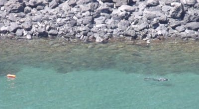 camping playa touran